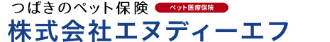 エヌディーエフのオススメするペット保険